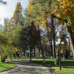Отель Residence Park Hotel Узбекистан, Ташкент - отзывы, цены и фото номеров - забронировать отель Residence Park Hotel онлайн спортивное сооружение