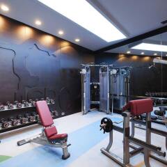Radisson Blu Hotel Istanbul Pera фитнесс-зал