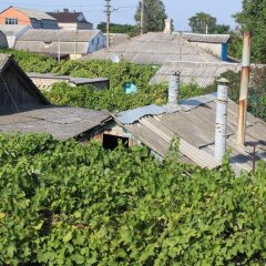 Гостиница Guest House on Leningradskaya в Анапе отзывы, цены и фото номеров - забронировать гостиницу Guest House on Leningradskaya онлайн Анапа фото 2