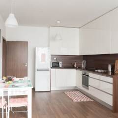 Апартаменты Modern Apartment Prague в номере