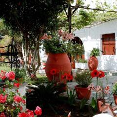 Summer Lodge in Agia Marina, Greece from 66$, photos, reviews - zenhotels.com photo 8