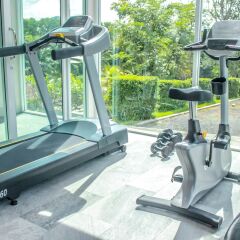 Отель Royal Lee Resort & Spa фитнесс-зал фото 2