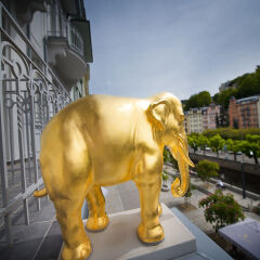 Отель EA Hotel Elefant Чехия, Карловы Вары - отзывы, цены и фото номеров - забронировать отель EA Hotel Elefant онлайн фитнесс-зал