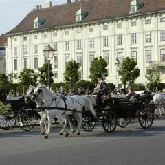 Hotel Alpha Wien спортивное сооружение
