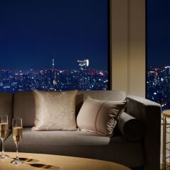 Keio Plaza Hotel Tokyo Premier Grand Токио балкон
