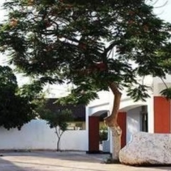 Отель Vintage View Guest House Габороне парковка