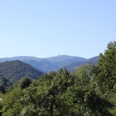 Отель Holiday Home Lyubovo Болгария, Боженци - отзывы, цены и фото номеров - забронировать отель Holiday Home Lyubovo онлайн фото 4