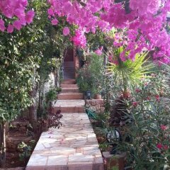 Отель Villa Koknar Pension Патара фото 8