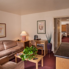 Отель Grand Canyon Plaza Hotel США, Гранд-Каньон - отзывы, цены и фото номеров - забронировать отель Grand Canyon Plaza Hotel онлайн комната для гостей фото 4