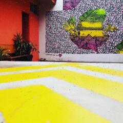 Blue Pepper Hostel Chapultepec Гвадалахара фото 2