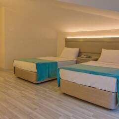 Palmea Hotel комната для гостей фото 3