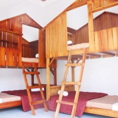 Tree House Hostel Далат детские мероприятия