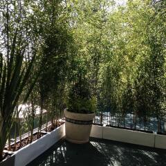 Отель Pug Seal B&B Coyoacan Мексика, Мехико - отзывы, цены и фото номеров - забронировать отель Pug Seal B&B Coyoacan онлайн балкон