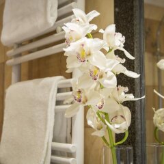 Отель Villa Tuscolana Park Hotel Италия, Фраскати - отзывы, цены и фото номеров - забронировать отель Villa Tuscolana Park Hotel онлайн спа фото 2