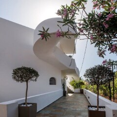 Отель Nontas Hotel Греция, Агистри - отзывы, цены и фото номеров - забронировать отель Nontas Hotel онлайн фото 6