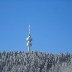 Отель Kris Hotel Болгария, Чепеларе - отзывы, цены и фото номеров - забронировать отель Kris Hotel онлайн приотельная территория