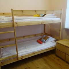 Отель Cat Hostel Krakow Польша, Краков - отзывы, цены и фото номеров - забронировать отель Cat Hostel Krakow онлайн детские мероприятия