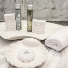 Отель President Terme Hotel Италия, Абано-Терме - 3 отзыва об отеле, цены и фото номеров - забронировать отель President Terme Hotel онлайн ванная