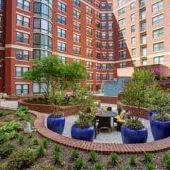 Отель Bluebird Suites in the Heart of DC США, Вашингтон - отзывы, цены и фото номеров - забронировать отель Bluebird Suites in the Heart of DC онлайн