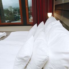 Quality Hotel 33 комната для гостей фото 4