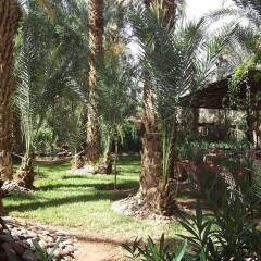 Отель Riad Marrat Марокко, Загора - отзывы, цены и фото номеров - забронировать отель Riad Marrat онлайн фото 3
