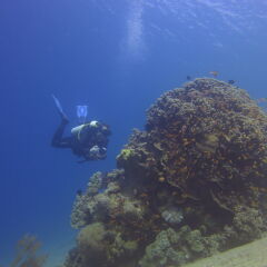 Отель Red Sea Dive Center спортивное сооружение