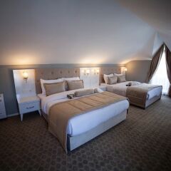 Big Garden Hotel удобства в номере фото 2
