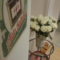 Отель Budapest Ville Bed And Breakfast Будапешт помещение для мероприятий