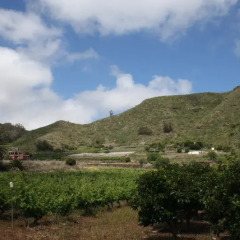 Отель Finca El Vergel Rural фото 4