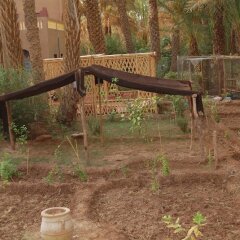 Отель House With 4 Bedrooms in Zagora, With Pool Access, Furnished Terrace a Марокко, Загора - отзывы, цены и фото номеров - забронировать отель House With 4 Bedrooms in Zagora, With Pool Access, Furnished Terrace a онлайн фото 4