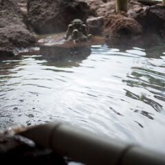 Отель River Retreat GARAKU Тояма пляж