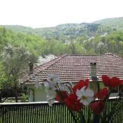 Отель Little River Guest House OLD Боженци фото 16