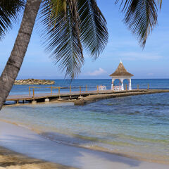 Отель Meliá Braco Village, Jamaica - All Inclusive пляж фото 2