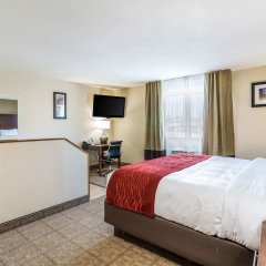 Comfort Inn in Waukesha, United States of America from 119$, photos, reviews - zenhotels.com room amenities