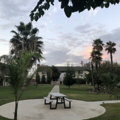 Отель 99 Palms Inn & Suites фото 5