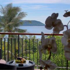 Отель Novotel Phuket Kata Avista Resort And Spa с домашними животными