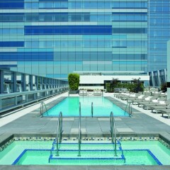 Отель Ritz Carlton Los Angeles Лос-Анджелес бассейн
