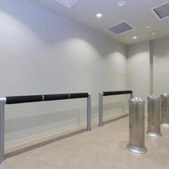 Ginza Capital Hotel Akane