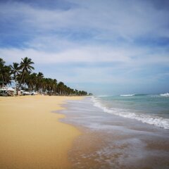 Отель Punta Cana Penthouse Доминикана, Пунта Кана - отзывы, цены и фото номеров - забронировать отель Punta Cana Penthouse онлайн пляж фото 2