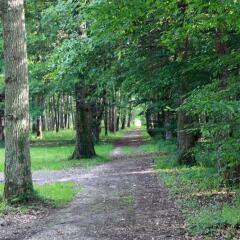 Отель Relais Des Landes фото 11
