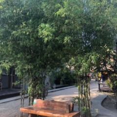 Hey beach hostel Ланта фото 8