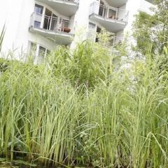 HSH Hotel Apartments Mitte фото 3