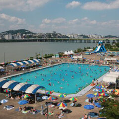Отель The Ritz-Carlton, Seoul бассейн фото 2