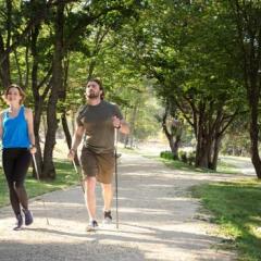 Отель Bioli Medical Wellness Resort Грузия, Тбилиси - отзывы, цены и фото номеров - забронировать отель Bioli Medical Wellness Resort онлайн приотельная территория фото 2
