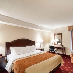 Comfort Inn Shady Grove - Gaithersburg - Rockville in Gaithersburg, United States of America from 124$, photos, reviews - zenhotels.com guestroom