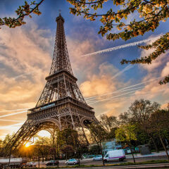 Отель Kleber Champs-Élysées Tour-Eiffel Paris Франция, Париж - 1 отзыв об отеле, цены и фото номеров - забронировать отель Kleber Champs-Élysées Tour-Eiffel Paris онлайн фото 3