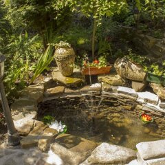 Гостиница Велика Ведмедиця бассейн фото 3