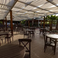 Maya World Beach Турция, Окурджалар - отзывы, цены и фото номеров - забронировать отель Maya World Beach онлайн питание фото 3