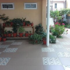Гостиница Guest House "eucalyptus" в Сочи отзывы, цены и фото номеров - забронировать гостиницу Guest House "eucalyptus" онлайн парковка
