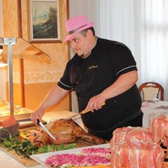Hotel Apollo с домашними животными